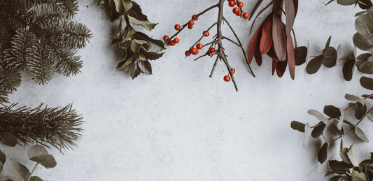 Christmas is a time of gifting at HomesToLife
