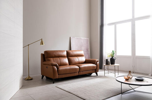 General Sofa Maintenance Guide - HomesToLife