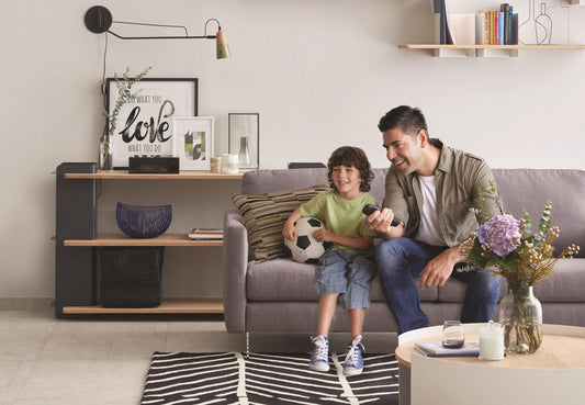 How to Maintain Your Fabric Sofa - HomesToLife