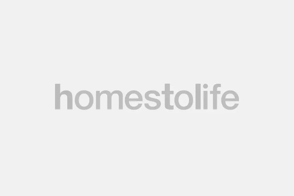 HomesToLife's International Sofa Exhibition Sample Sale
