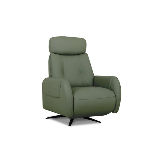 Ready Stock: Bruce Recliner Armchair in Dark Green leather